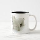 Search for american bully mugs Puppy
