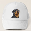 Search for rotties hats Puppy