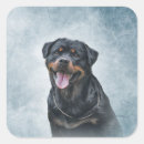 Search for rottweiler dog stickers Puppy