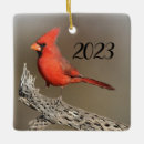Search for cardinal christmas tree decorations Songbird
