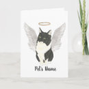 Search for cat sympathy cards Black