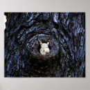 Search for wildlife photography posters Cute animals