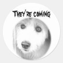 Search for dog eyes stickers Face