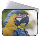 Search for macaw laptop cases Parrot