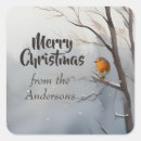 Search for robin stickers Merry christmas