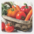 Search for fresh food stickers Vegetables
