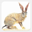 Search for hare stickers Wild animal