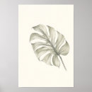 Search for monstera art Botanical