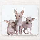 Search for seven mousepads Photography