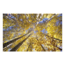 Search for bright sun posters Fall