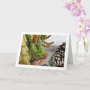 Search for grasshopper cards Nature