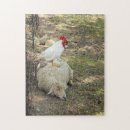 Search for sheep puzzles Photography