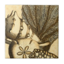 Search for sand dollar tiles Sea