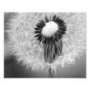 Search for mini poster postcards Photograph