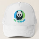 Search for panda hats Wildlife