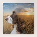 Search for springer spaniel puzzles Portrait