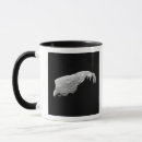 Search for asteroid mugs Minor planets