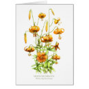 Search for vintage seed packets postcards Botanical