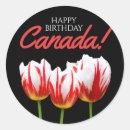Search for canada maple leaf stickers White