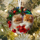 Search for persian christmas tree decorations Kitten