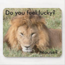 Search for african lions electronics Cats