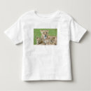 Search for lioness tshirts Lincoln peak