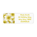 Search for frangipani return address labels Plumeria