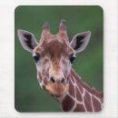 Search for impala mousepads Wildlife