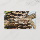 Search for cone business cards Pine cones