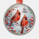 Search for red cardinal bird christmas tree decorations Forest