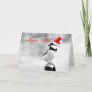 Search for chickadee christmas cards Bird