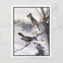 Search for titmouse postcards Winter