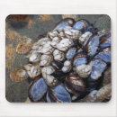 Search for tide pool electronics Sea