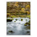 Search for rapids photography River