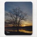 Search for oak electronics Sunset