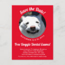 Search for smiling dog postcards Cute