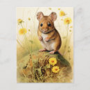 Search for field mouse postcards Nature