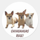 Search for chihuahua stickers Animals