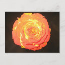 Search for unique other Yellow