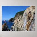 Search for acapulco posters Diver