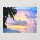 Search for palm beach postcards Maldives