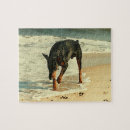 Search for doberman puzzles Dobie