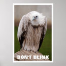 Search for griffons Humour