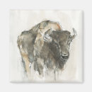 Search for buffaloe magnets Bison
