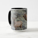 Search for elk antlers mugs Danita delimont