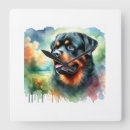 Search for rottweiler art Watercolor