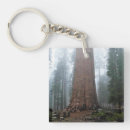 Search for general key rings Tree