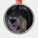 Search for maltipoo christmas tree decorations Dog