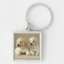 Search for golden labrador key rings Pet