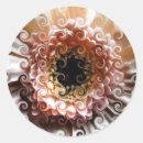 Search for pink gerbera daisy stickers Nature